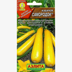 Кабачок Самородок /Аэлита