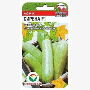 Кабачок Сирена/ Сибсад