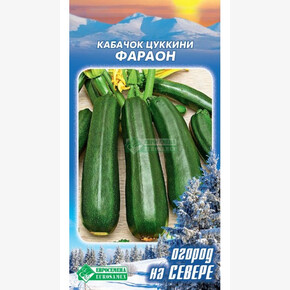 Кабачок Фараон/ Евросемена