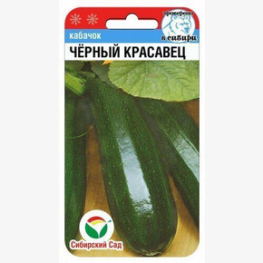 Кабачок Черный красавец 5шт Сиб сад