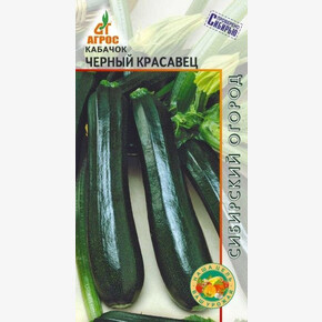 Кабачок Черный красавец 6шт*, Италия, ср/р./ Агрос