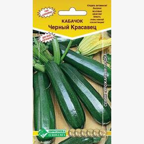 Кабачок Черный красавец/ Евросемена