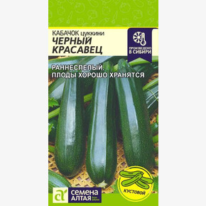 Кабачок Черный Красавец/ Семена Алтая