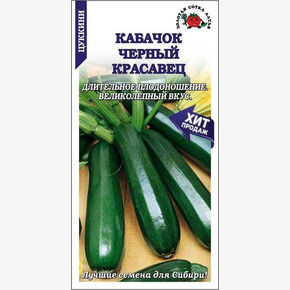 Кабачок Черный Красавец/ Сотка