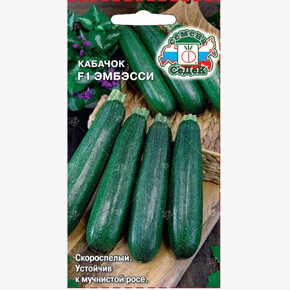Кабачок Эмбэсси/ Седек ШК