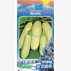 Кабачок ЯКОРЬ 10 шт/ Евросемена
