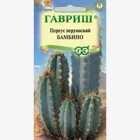 Кактус Неокарденасия Герцога Бамбино/ Гавриш