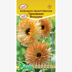 Календула ОРАНЖЕВАЯ ВСПЫШКА лекарственная (0,1 гр)/ Евросемена