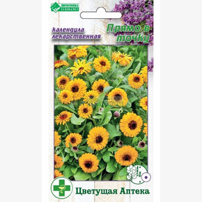 Календула ПРЯМО В ТОЧКУ (0,1 гр)/ Евросемена