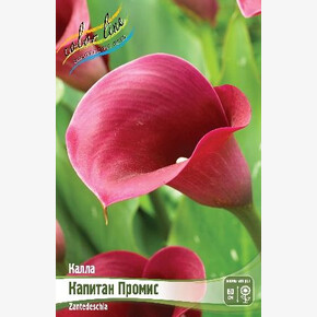 КАЛЛА КАПИТАН ПРОМИС