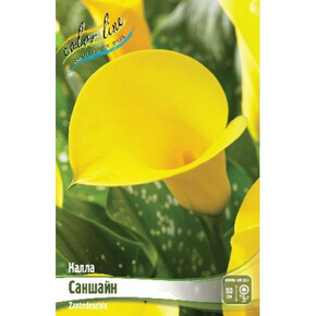 Калла Саншайн