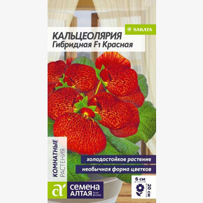 Кальцеолярия Гибридная Красная/Семена Алтая/цп 3 шт