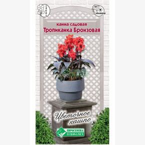 Канна садовая Тропиканка бронзовая/ Евросемена