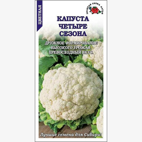 Капуста 4 сезона цветная /Сотка/ 0,3г/ среднесп. 1,5кг /*1200