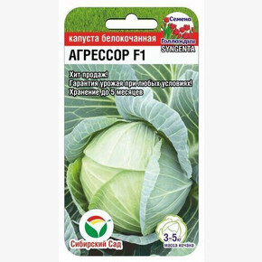 Капуста Агрессор F1 10шт Сиб Сад