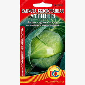 капуста Атрия F1 /10 шт Дем Сиб/ Seminis Голландия