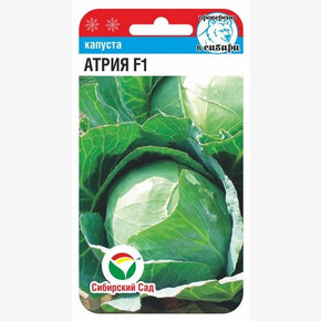 Капуста Атрия F1 10шт Сиб Сад