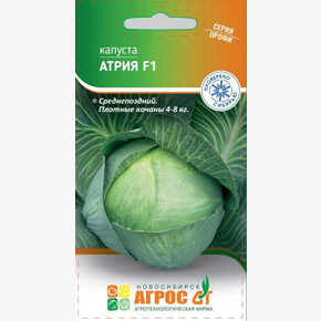 Капуста Атрия F1 15шт* Seminis, Чили, ср/п/ Агрос