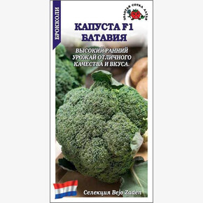 Капуста Батавия /Сотка/ 10шт