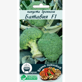 Капуста БАТАВИЯ 10 шт/ Евросемена - Сотка