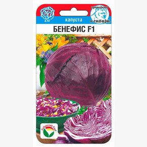 Капуста Бенефис F1 10шт Сиб Сад