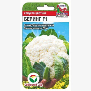 Капуста Беринг F1 10шт Сиб Сад