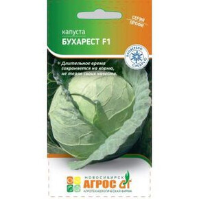 Капуста Бухарест F1 15шт* Seminis, Чили, ср/п/ Агрос