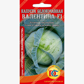 капуста Валентина шт Деметра/