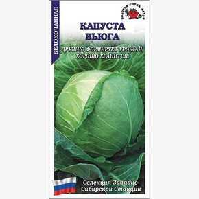 Капуста Вьюга/ Сотка