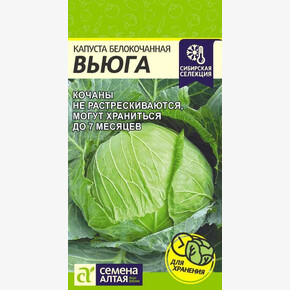 Капуста Вьюга/Сем Алт/цп 0,3 гр. Сибирская Селекция!