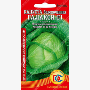 капуста Галакси F1 /10 шт Дем Сиб/