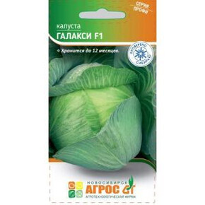 Капуста Галакси F1 15шт* Seminis, Чили, позд/ Агрос