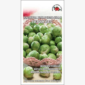 Капуста Геркулес брюс./ Сотка