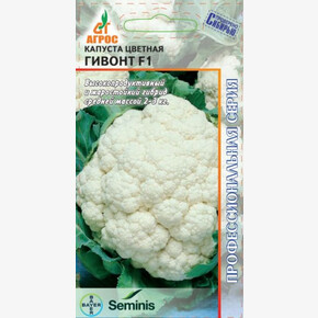 Капуста Гивонт F1 15шт* Seminis, Бельгия, / Агрос