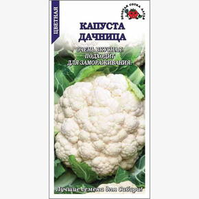 Капуста Дачница /Сотка/ 0,3г/ ранний 0,6-1кг/*1200