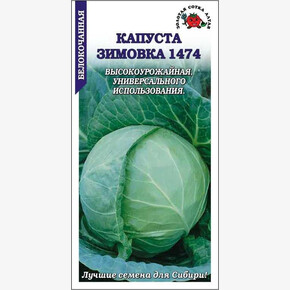 Капуста Зимовка 1474/ Сотка