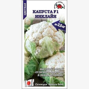 Капуста Инклайн F1 /Сотка/ 8 шт/ Sakata