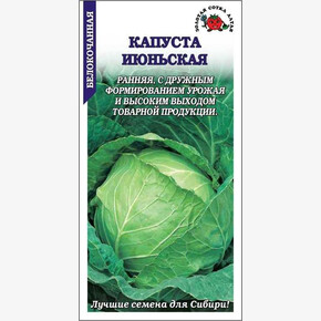 Капуста Июньская/ Сотка