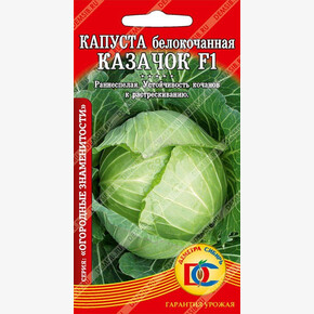 капуста Казачок F1 /0,1 гр Дем Сиб/