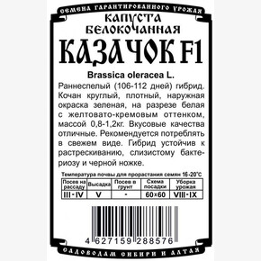 капуста Казачок F1 0,1 гр БП/ Деметра