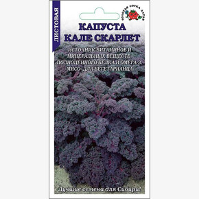 Капуста Кале Скарлет листовая /Сотка/ 0,3г/ выс. 80-100см красн./*1200