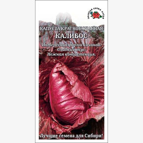 Капуста Калибос /Сотка/ 0,3г/ среднесп. 1,5-2кг