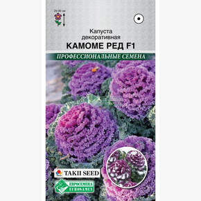 Капуста КАМОМЕ Ред декоративная (5 шт)/ Евросемена