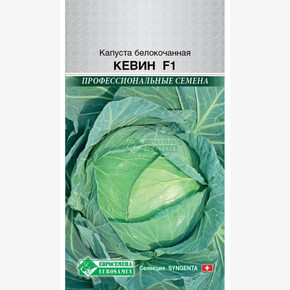 Капуста КЕВИН (10 шт) /Syngenta/ Евросемена