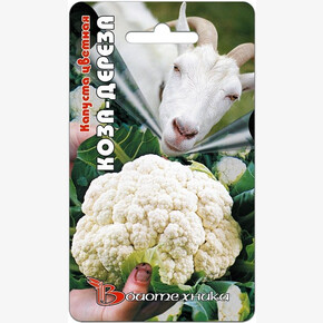 Капуста Коза-Дереза цветная/Биотехника/цп