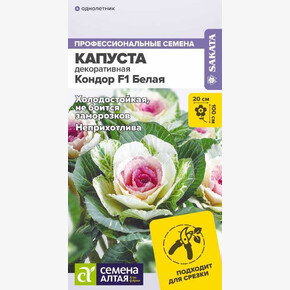 Капуста Кондор F1 Белая /Сем Алт/цп 5 шт. НОВИНКА