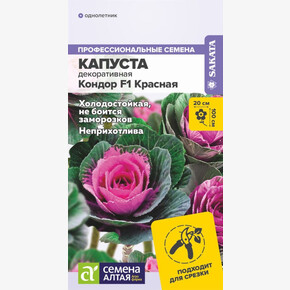 Капуста Кондор F1 Красная /Сем Алт/цп 5 шт. НОВИНКА