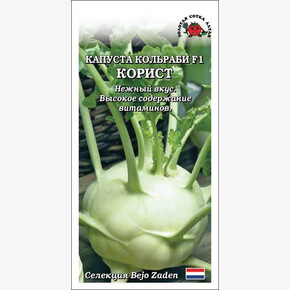 Капуста Корист F1 /Сотка/ 10 шт