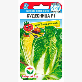 Капуста Кудесница F1 0,2г Сиб Сад