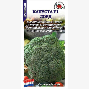 Капуста Лорд / Сотка